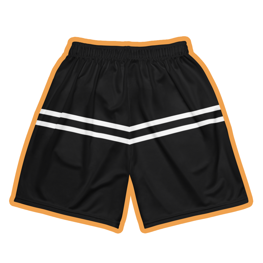 Streetball Leball unisex basketball mesh shorts