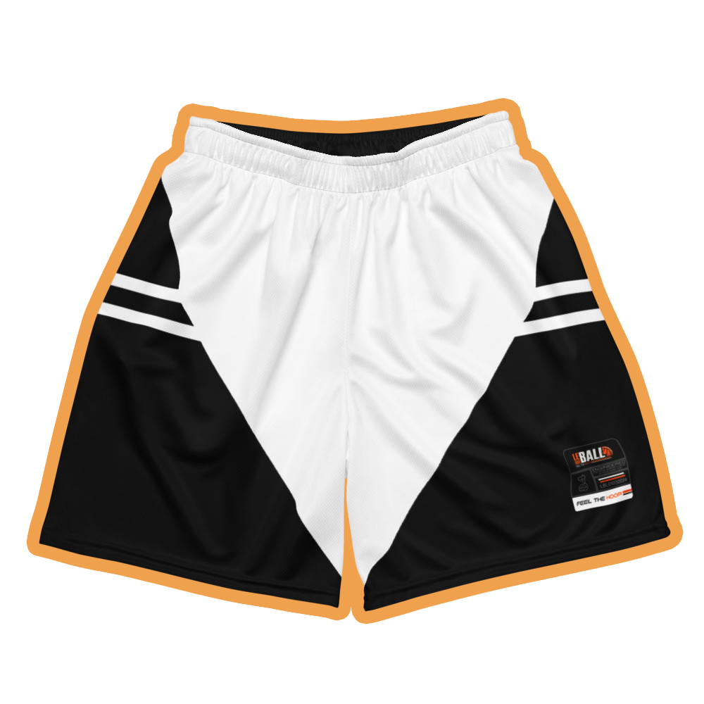 Streetball Leball unisex basketball mesh shorts